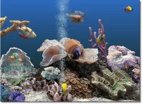 d_30.webp