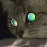 DarckSergo