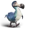 rybka