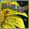 dream219