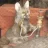 Kitsune12