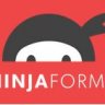 Ninja Forms Layout & Styles